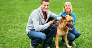 Responsible-Pet-Ownership_-A-Joy-and-Responsibility