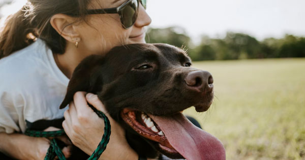 Responsible pet owner and a big brown dog. 